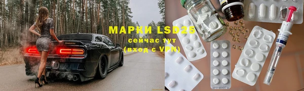 прущие грибы Липки